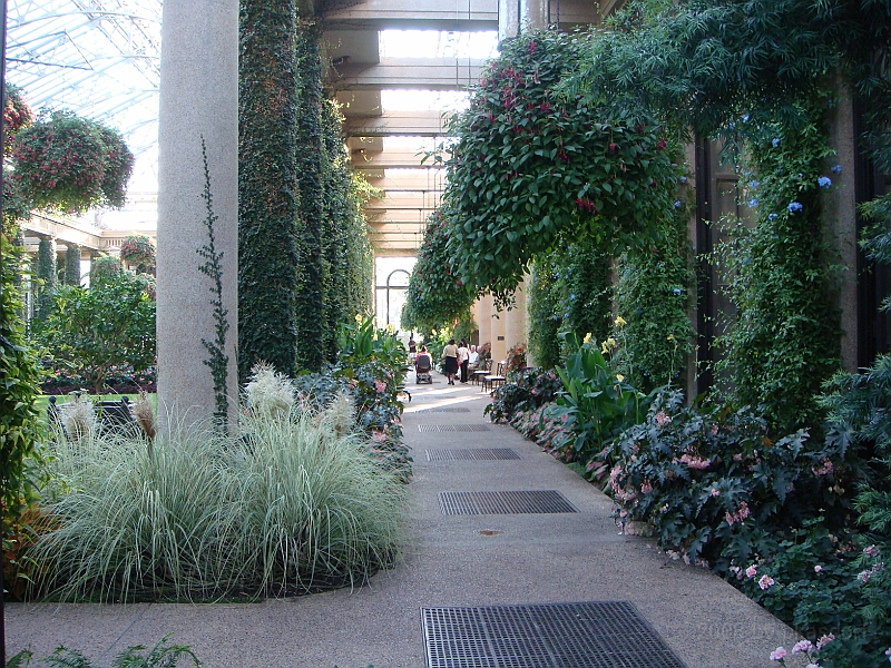 448 Longwood Gardens [2008 August 23].JPG - Longwood Gardens in Pennsylvania